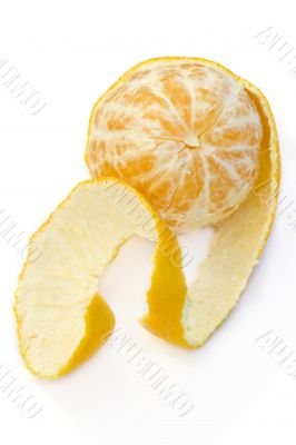 Naked and dressed - still lfe with tangerines