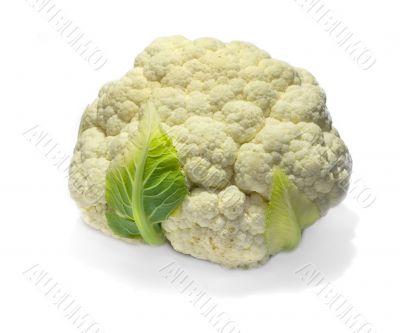 Cauliflower 1
