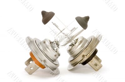 halogen bulb
