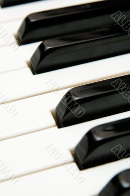 Keys from a grand piano