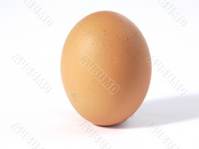 gray egg