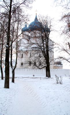 Christmas cathedral