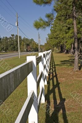 Fence Line