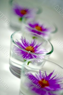 Flower and glass