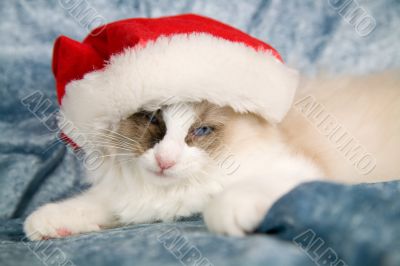 Tired of Christmas