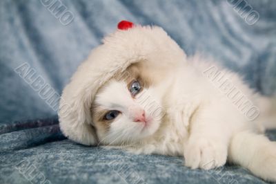 Take the hat off my head