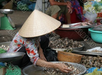 Sorting the shells
