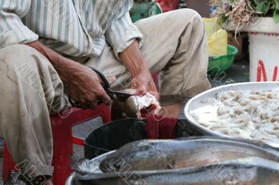 Cutting the fish