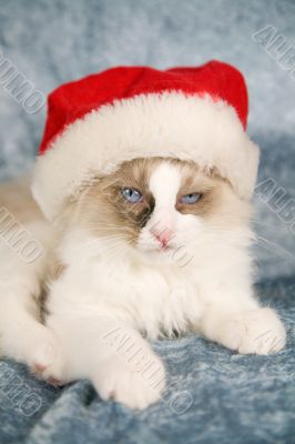 Not amused