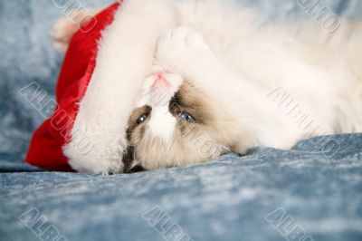 Hugging a santa hat