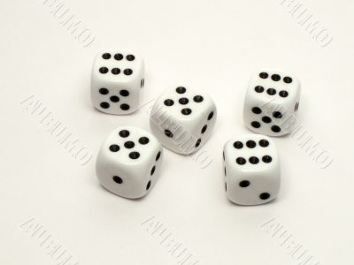 Roll of the dice