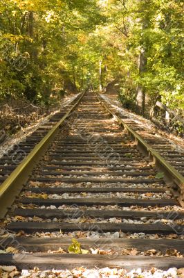 Tracks Into Trees