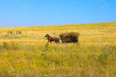 Horse carriage