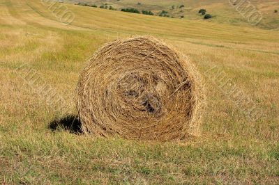 One stack hay