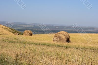 Stack hays