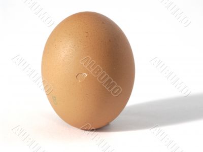 gray egg