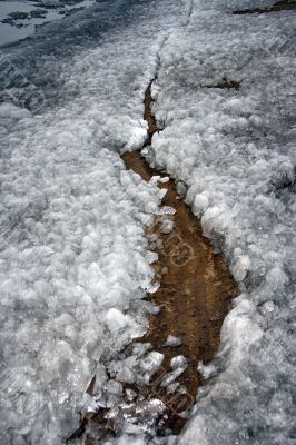 Coast of lake.