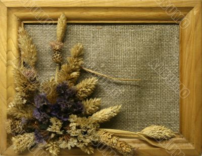 Frame with sear flowers