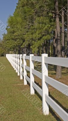 Long White Fence