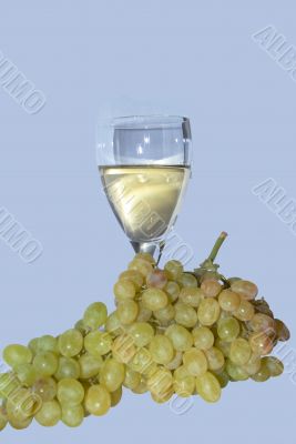 A bunch of grapes with glass of wine
