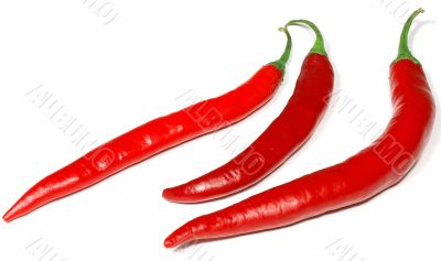Red peppers