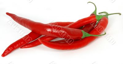 peppers against white