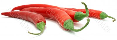 red cayennes