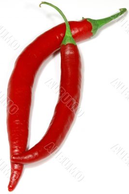 2 isolated peppers