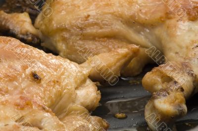 chicken leg close up