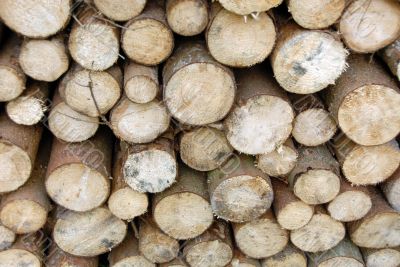 pile of Wood