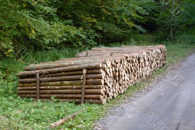 pile of Wood