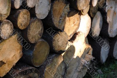 pile of Wood