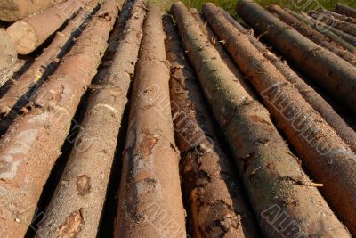 pile of Wood