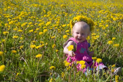 little girl with dandelion diadem