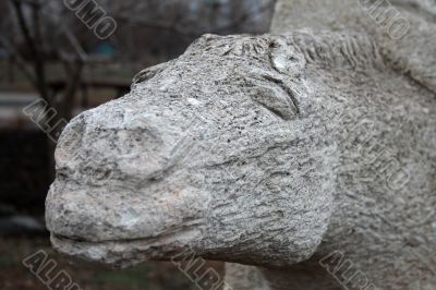 The head of horse in stone