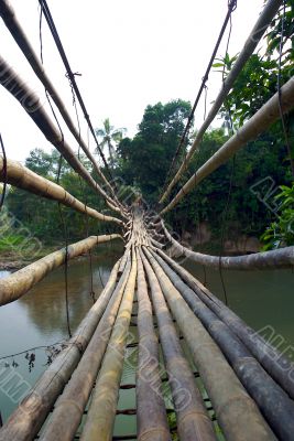 bamboo bridge