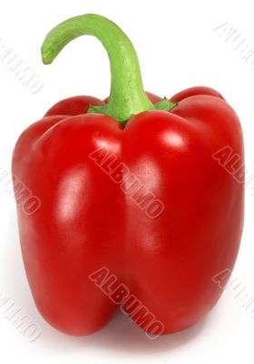 Red paprika