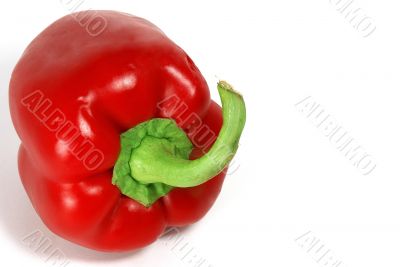 Red paprika 2