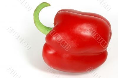 Red paprika 4