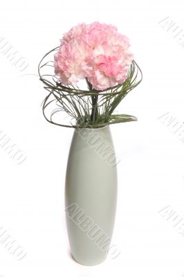 Bouquet of carnations