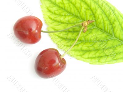  sweet cherry