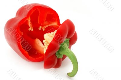 Red paprika 6