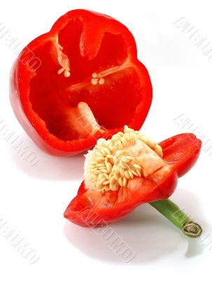 Red paprika 5