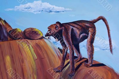 African baboon