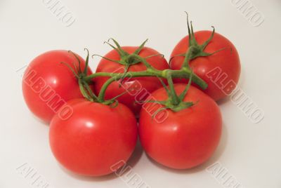 red tomatoes
