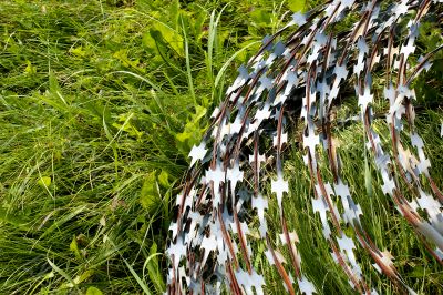 barbed wire and gentle grass