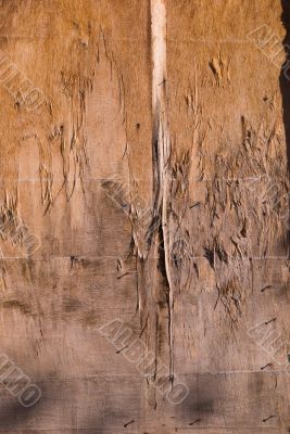 Detailed textured grunge background/frame