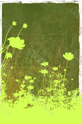 flower abstract textures and backgrounds