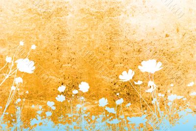 flower abstract textures and backgrounds