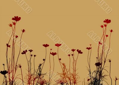 flower abstract textures and backgrounds